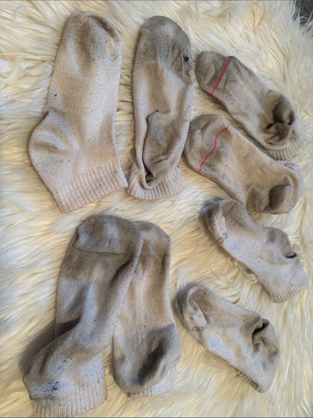 Used Low-Cut Athletic Socks - Light Gray (6 Pack)